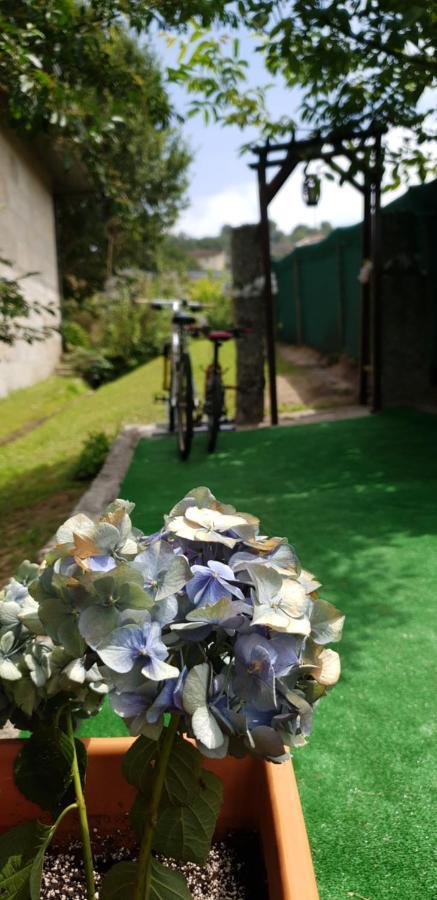 Quinta De Carvalhal - Casa De Campo Guimarães Exteriör bild